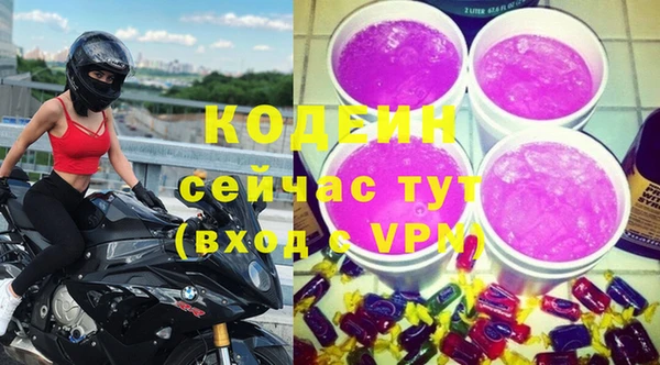 твердый Бородино