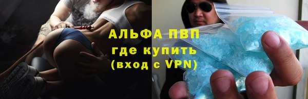 эйфоретик Богданович