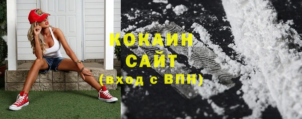 эйфоретик Богданович