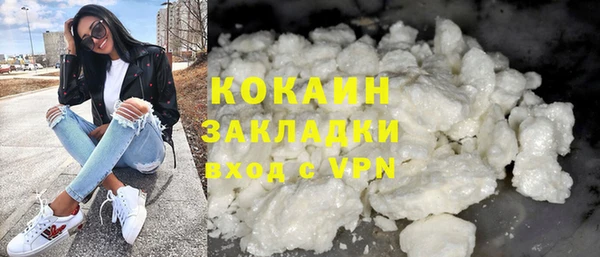 сатива Беломорск