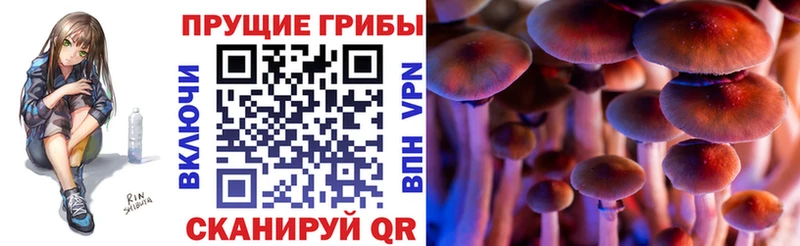 Галлюциногенные грибы Cubensis  Голицыно 