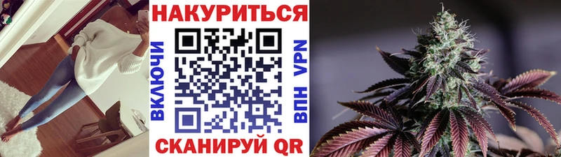 Марихуана сатива  закладка  Голицыно 